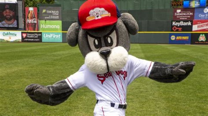who were the sea dogs
