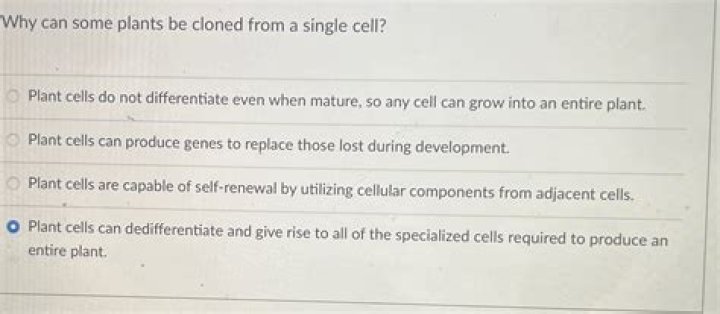 why can some plants be cloned from a single cell