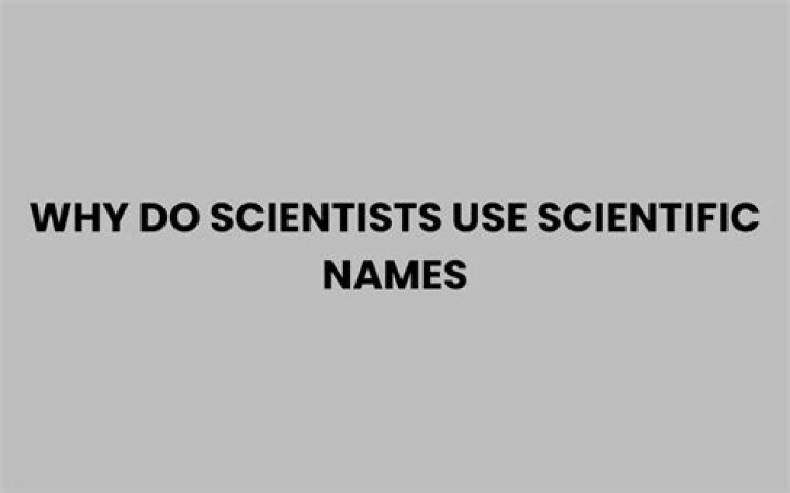 why do scientists use scientific names