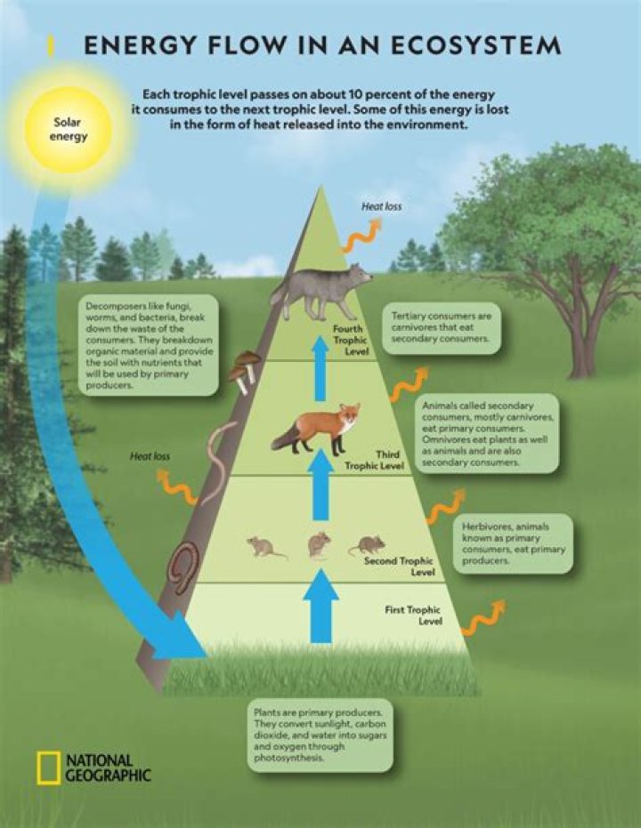 why is energy required for the boiling process