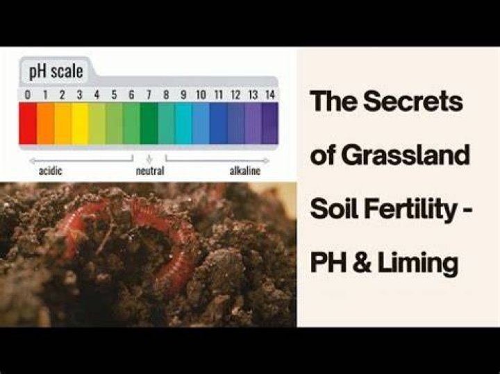 why is ph such an important aspect of soil fertility