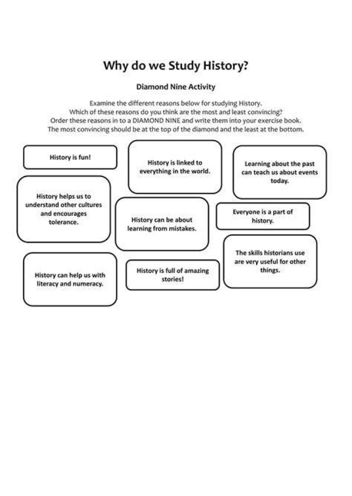 why study history lesson plan